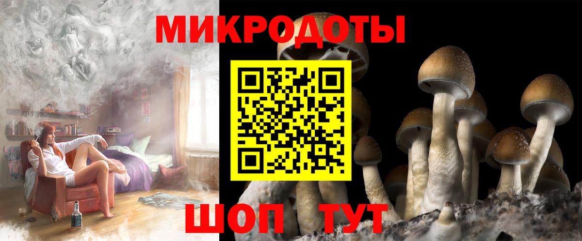 Псилоцибиновые грибы прущие грибы Кисловодск